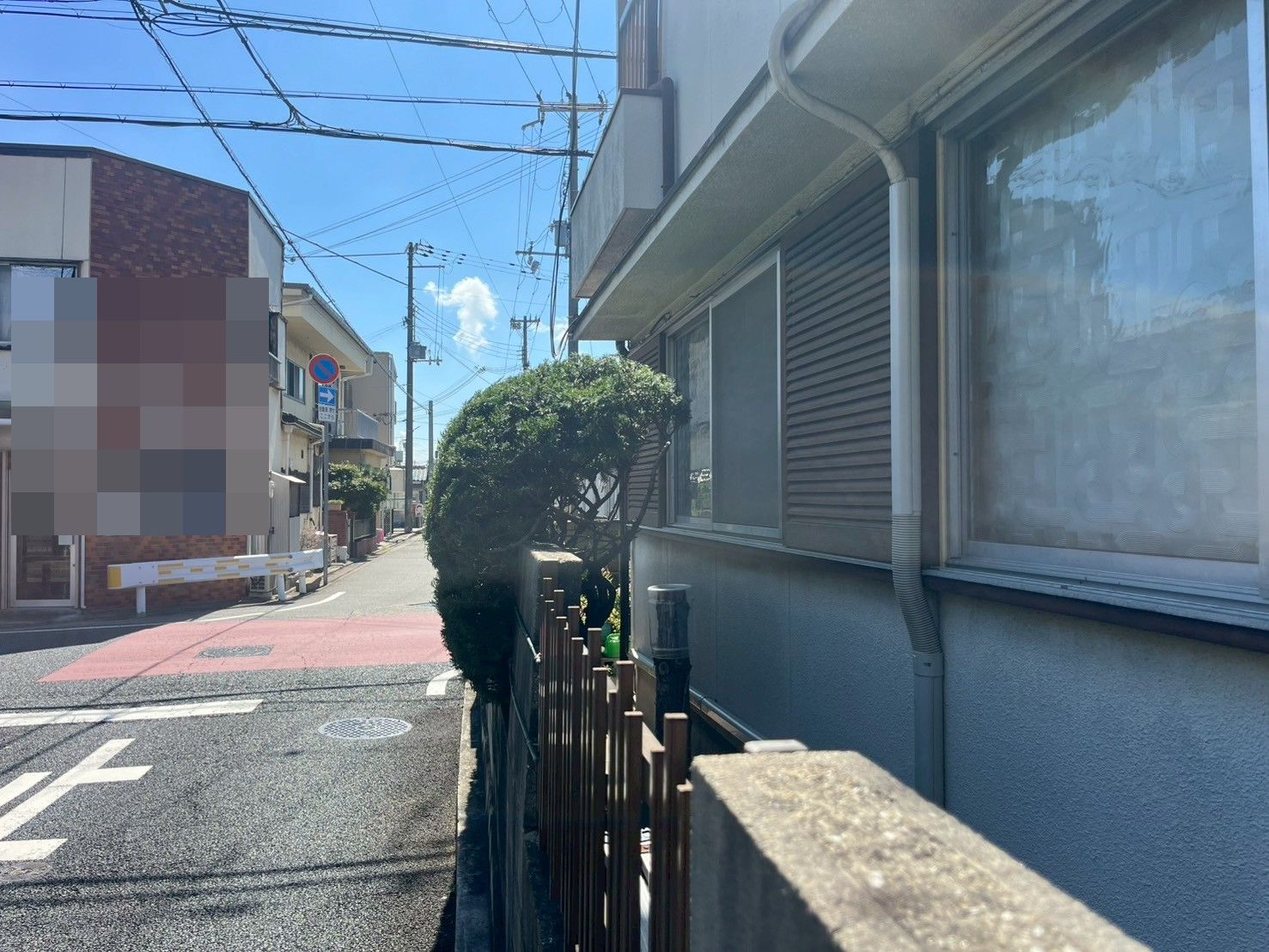 剪定
